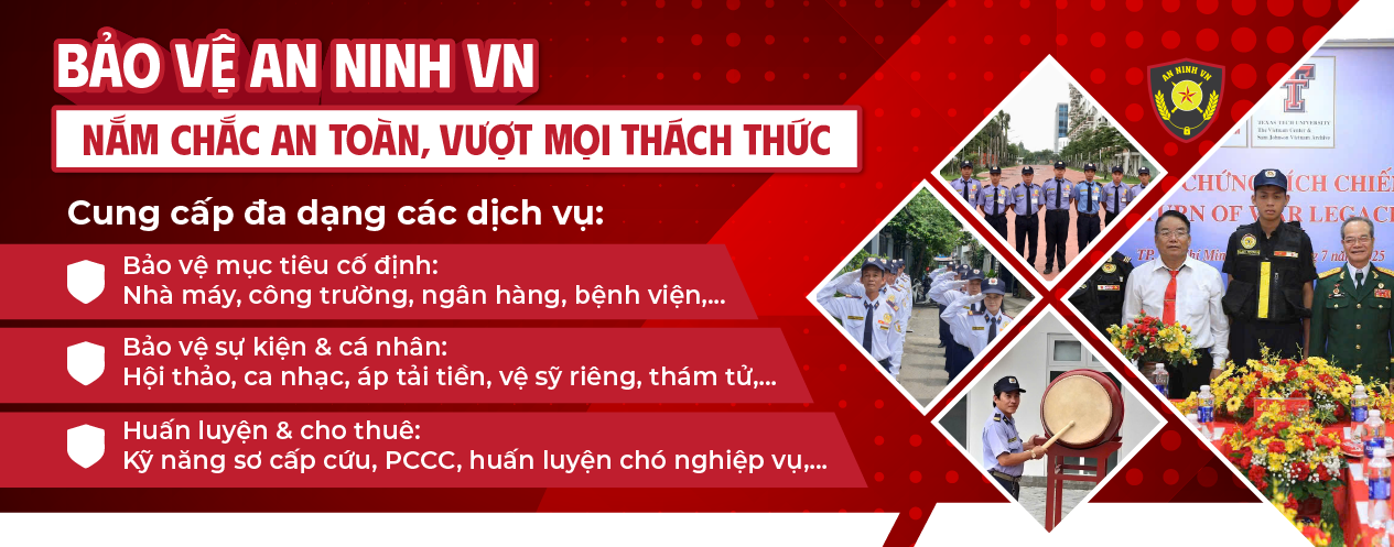 các dịch vụ công ty cung cấp